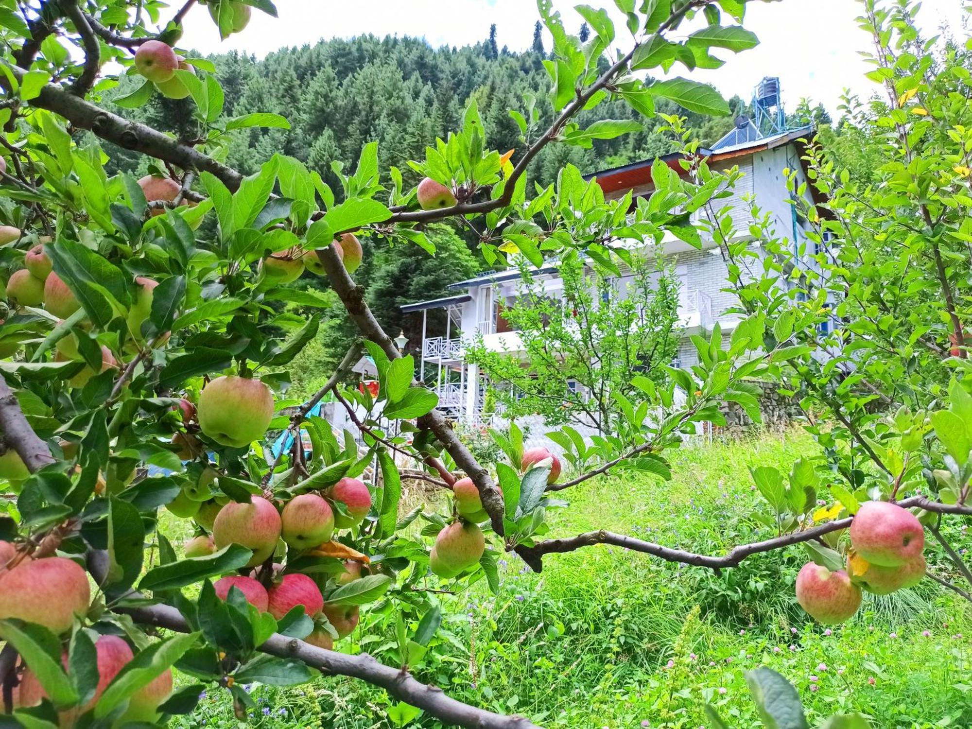 Baan By Snow City Farm Vashist Εξωτερικό φωτογραφία