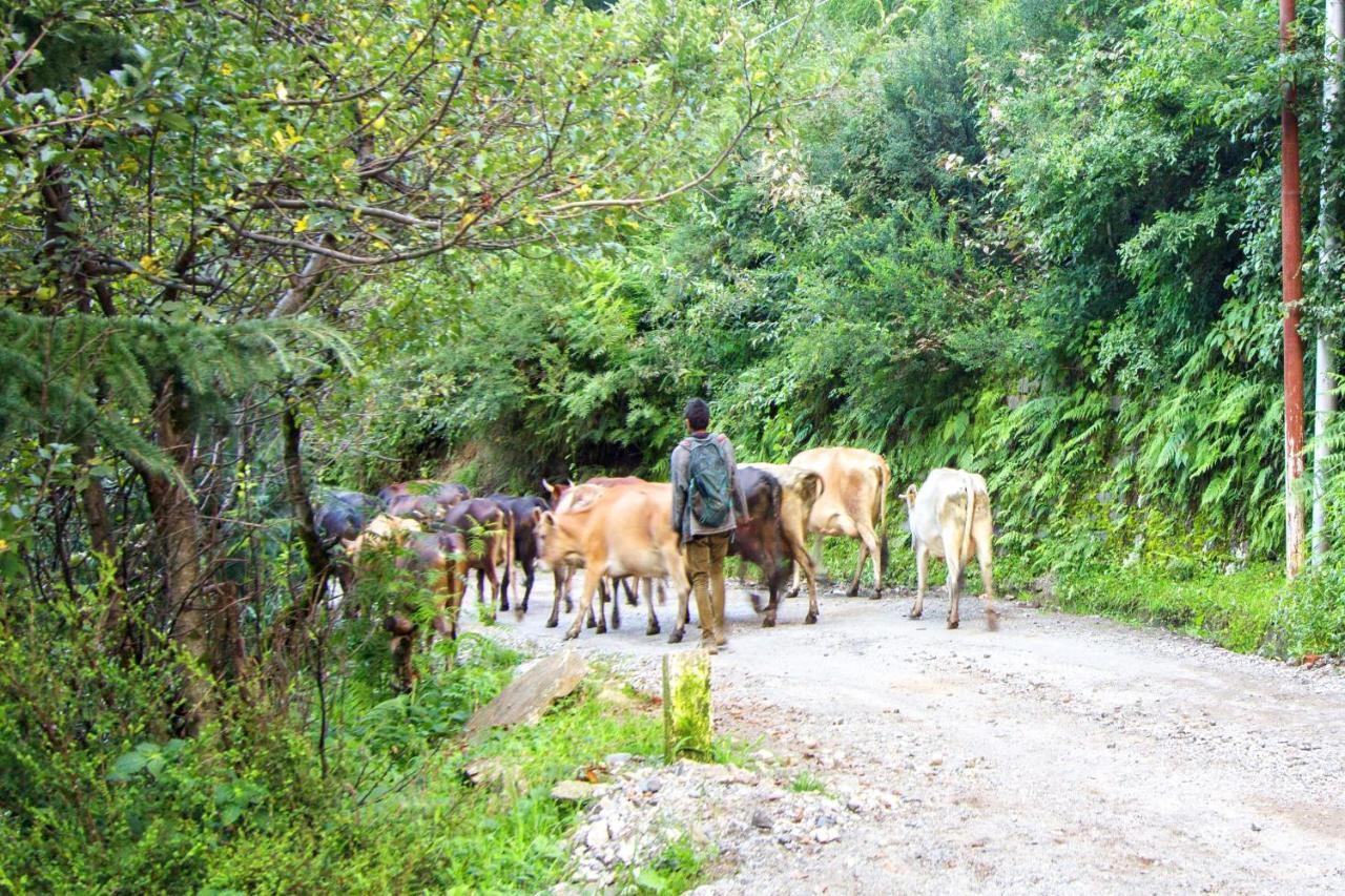Baan By Snow City Farm Vashist Εξωτερικό φωτογραφία
