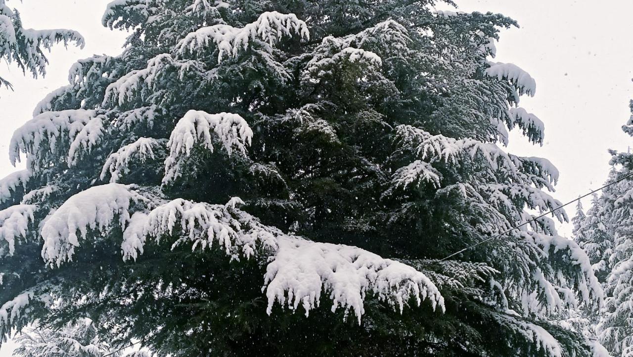 Baan By Snow City Farm Vashist Εξωτερικό φωτογραφία
